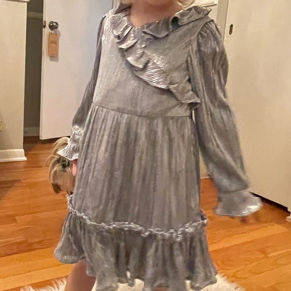 Janie and Jack Silver Plisse Dress - Picture 5 of 5